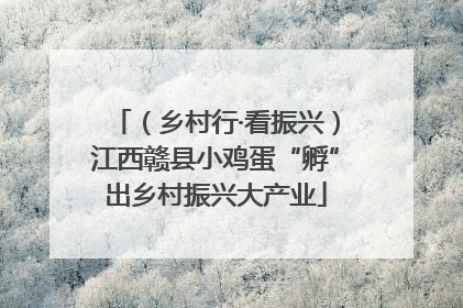 （乡村行·看振兴）江西赣县小鸡蛋“孵”出乡村振兴大产业