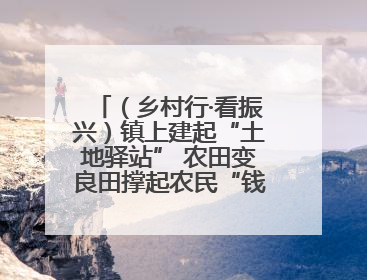 （乡村行·看振兴）镇上建起“土地驿站” 农田变良田撑起农民“钱袋子”