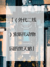 （外代二线）索斯托动物园的黑天鹅