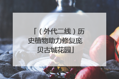 （外代二线）历史植物助力修复庞贝古城花园