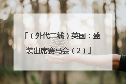 （外代二线）英国：盛装出席赛马会（2）