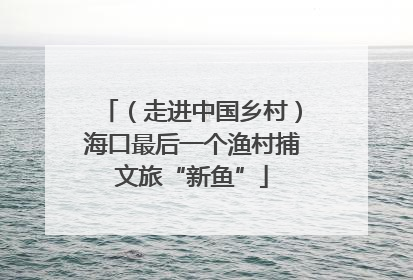 （走进中国乡村）海口最后一个渔村捕文旅“新鱼”