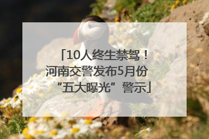 10人终生禁驾！河南交警发布5月份“五大曝光”警示