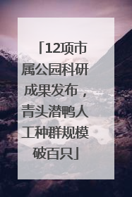 12项市属公园科研成果发布，青头潜鸭人工种群规模破百只
