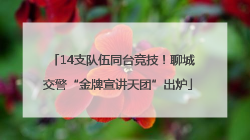 14支队伍同台竞技！聊城交警“金牌宣讲天团”出炉