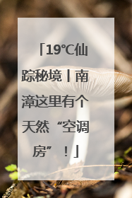 19℃仙踪秘境丨南漳这里有个天然“空调房”！