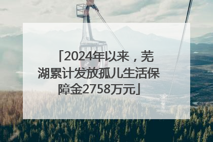 2024年以来，芜湖累计发放孤儿生活保障金2758万元