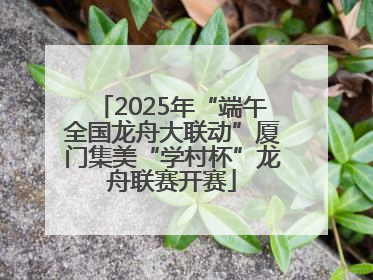 2025年“端午全国龙舟大联动”厦门集美“学村杯”龙舟联赛开赛