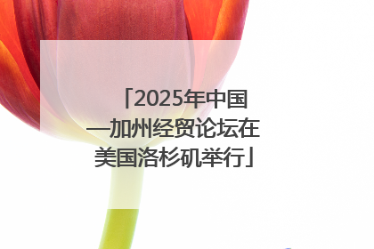 2025年中国—加州经贸论坛在美国洛杉矶举行