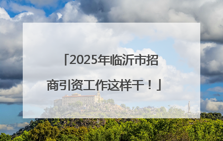 2025年临沂市招商引资工作这样干！