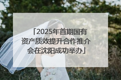 2025年首期国有资产质效提升合作推介会在沈阳成功举办