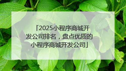 2025小程序商城开发公司排名，盘点优质的小程序商城开发公司