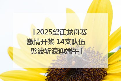 2025望江龙舟赛激情开桨 14支队伍劈波斩浪迎端午