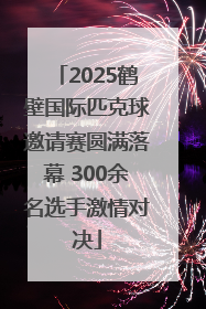 2025鹤壁国际匹克球邀请赛圆满落幕 300余名选手激情对决