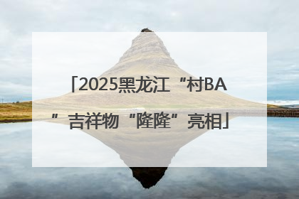 2025黑龙江“村BA”吉祥物“隆隆”亮相