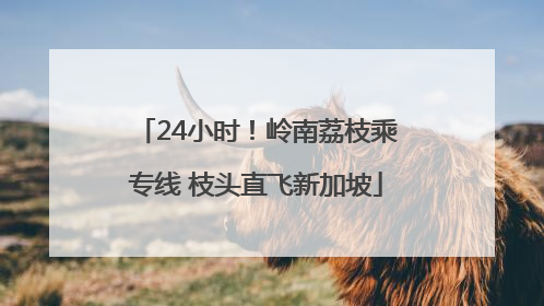24小时！岭南荔枝乘专线 枝头直飞新加坡