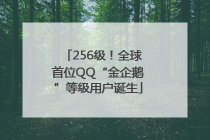 256级！全球首位QQ“金企鹅”等级用户诞生