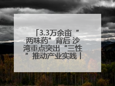 3.3万余亩“两味药”背后 沙湾重点突出“三性”推动产业实践丨新闻发布最前线