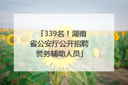 339名！湖南省公安厅公开招聘警务辅助人员