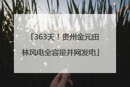 363天！贵州金元田林风电全容量并网发电