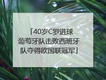 40岁C罗进球 葡萄牙队击败西班牙队夺得欧国联冠军