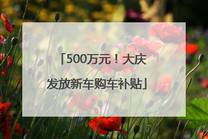 500万元！大庆发放新车购车补贴