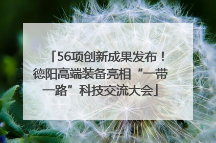 56项创新成果发布！德阳高端装备亮相“一带一路”科技交流大会