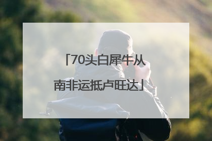 70头白犀牛从南非运抵卢旺达