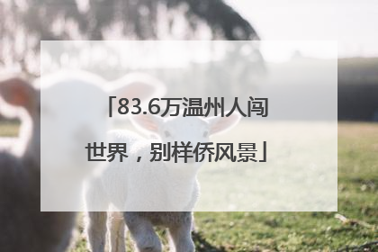 83.6万温州人闯世界，别样侨风景
