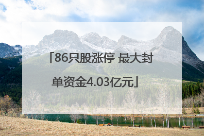 86只股涨停 最大封单资金4.03亿元