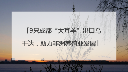 9只成都“大耳羊”出口乌干达，助力非洲养殖业发展
