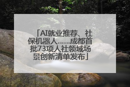 AI就业推荐、社保机器人……成都首批73项人社领域场景创新清单发布