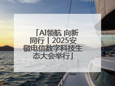 AI领航 向新同行丨2025安徽电信数字科技生态大会举行
