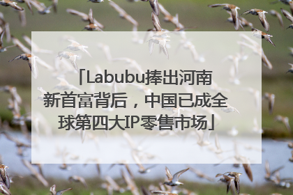 Labubu捧出河南新首富背后，中国已成全球第四大IP零售市场