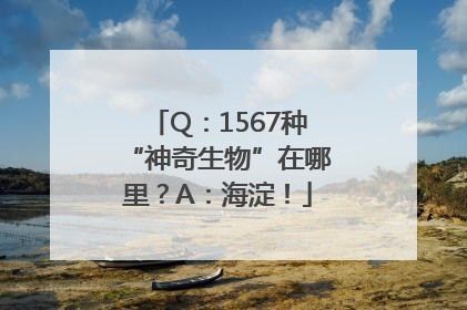 Q：1567种“神奇生物”在哪里？A：海淀！