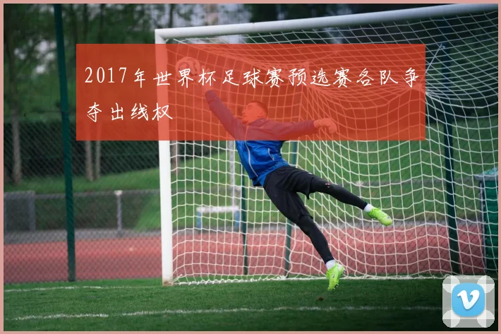 2017年世界杯足球赛预选赛各队争夺出线权