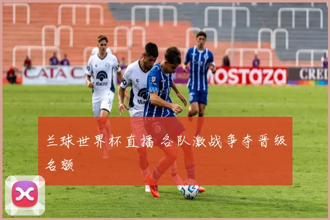 兰球世界杯直播 各队激战争夺晋级名额