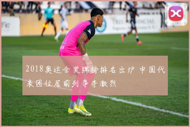 2018奥运会奖牌榜排名出炉 中国代表团位居前列争夺激烈