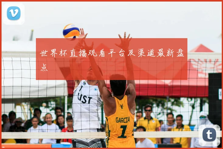 世界杯直播观看平台及渠道最新盘点
