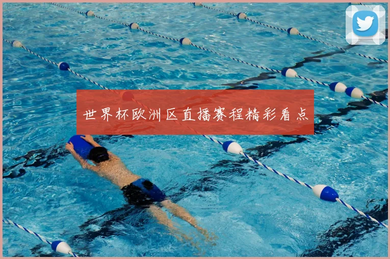 世界杯欧洲区直播赛程精彩看点