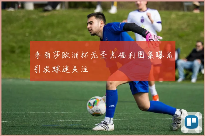 李丽莎欧洲杯无圣光福利图集曝光引发球迷关注
