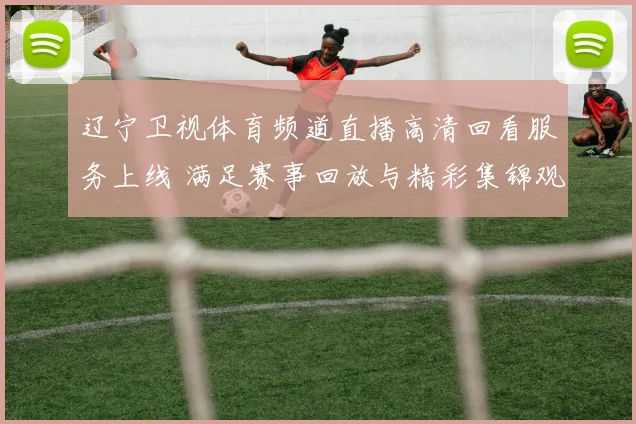 辽宁卫视体育频道直播高清回看服务上线 满足赛事回放与精彩集锦观看需求
