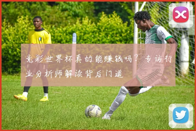 竞彩世界杯真的能赚钱吗？专访行业分析师解读背后门道