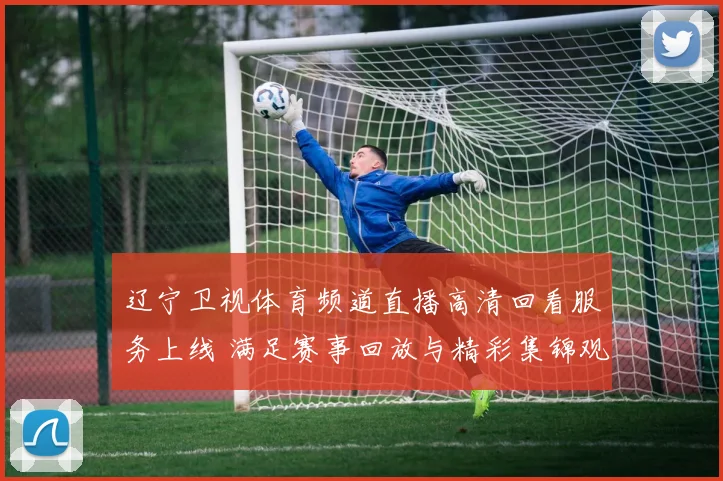 辽宁卫视体育频道直播高清回看服务上线 满足赛事回放与精彩集锦观看需求